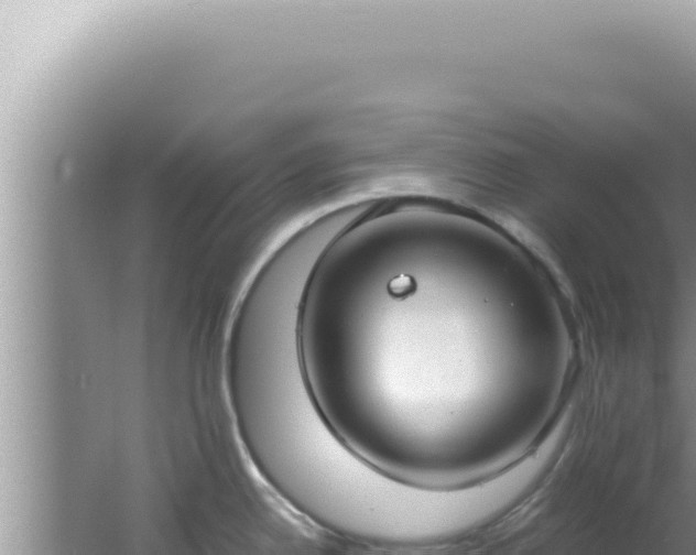 X0000061721342200512091950