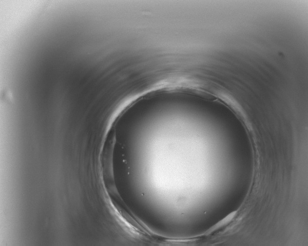 X0000061721344200512091950