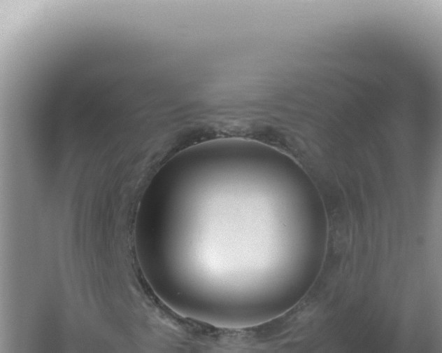 X0000061721345200512091950