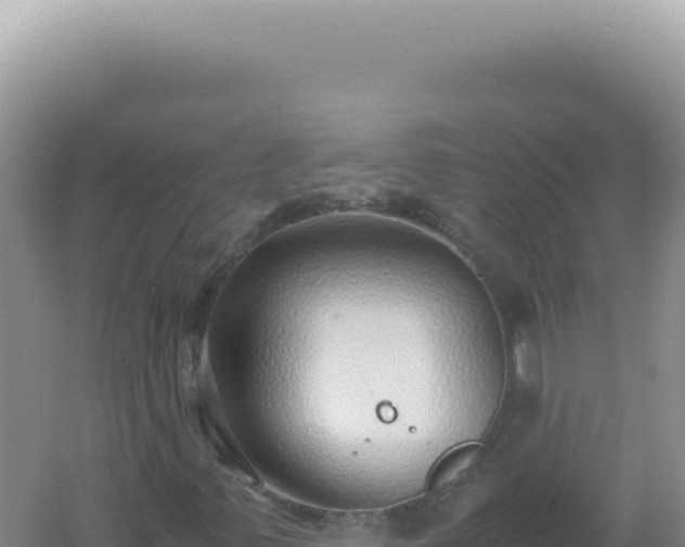 X0000061721347200512091950