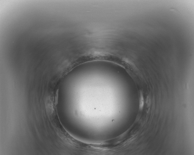 X0000061721348200512091950