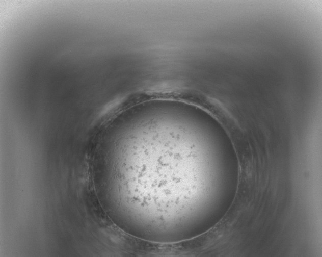 X0000061721350200512091950