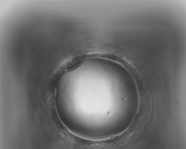 X0000061721351200512091950