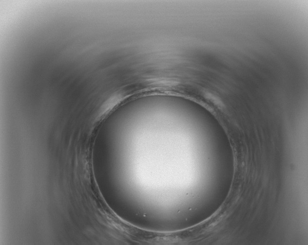 X0000061721354200512091949