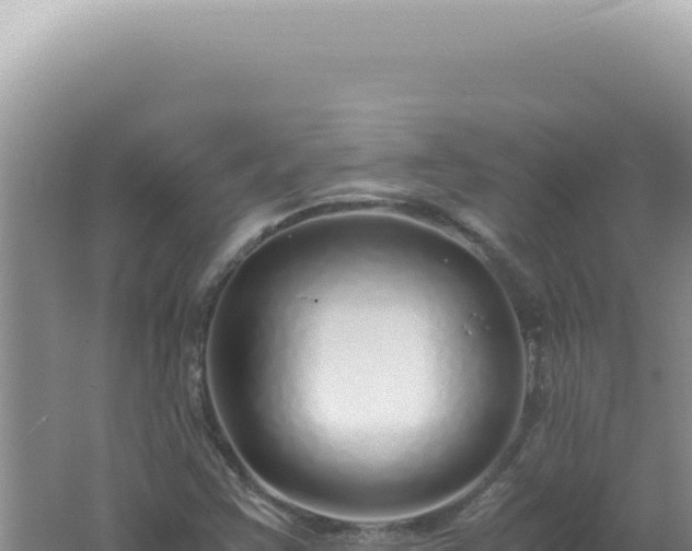 X0000061721355200512091949