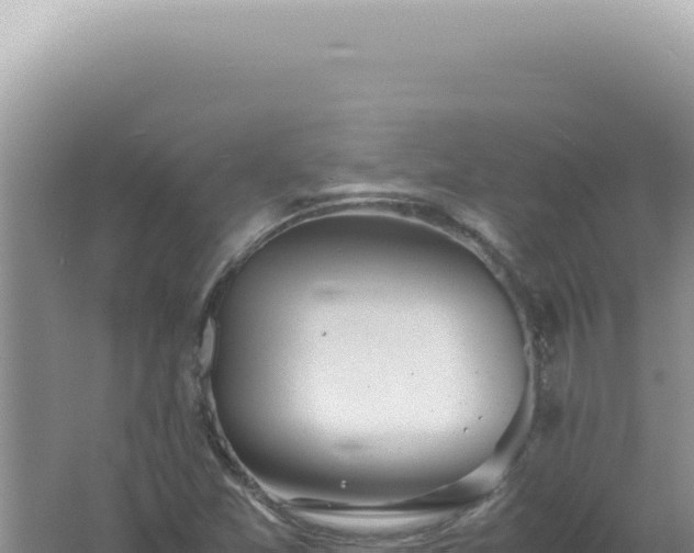 X0000061721357200512091949