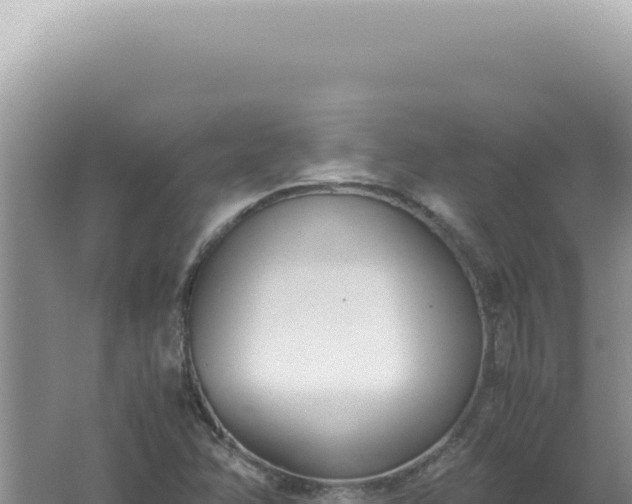 X0000061721358200512091949