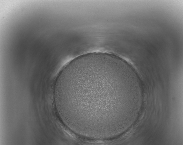 X0000061721359200512091949