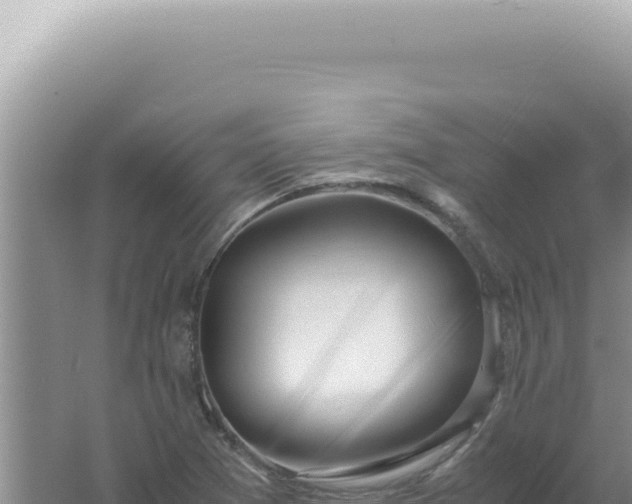 X0000061721361200512091949