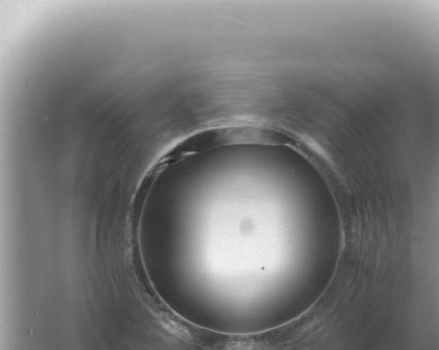 X0000061721364200512091949