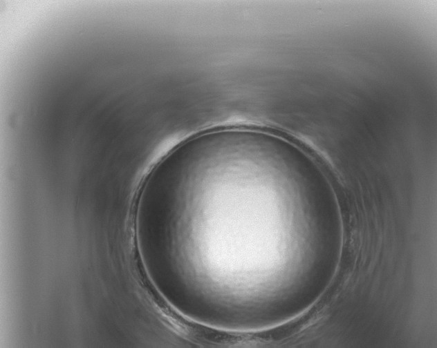 X0000061721367200512091949