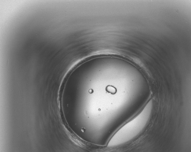 X0000061721372200512091949