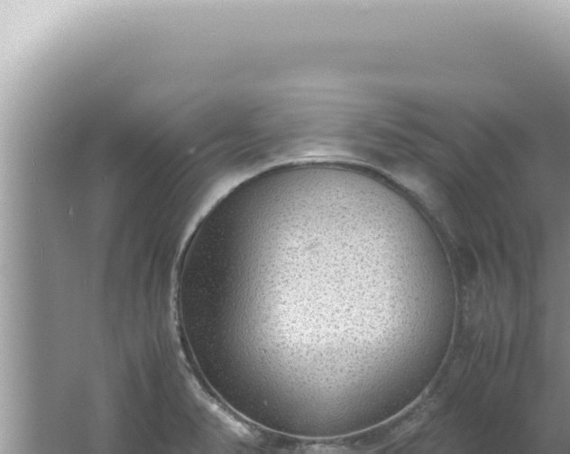 X0000061721374200512091949