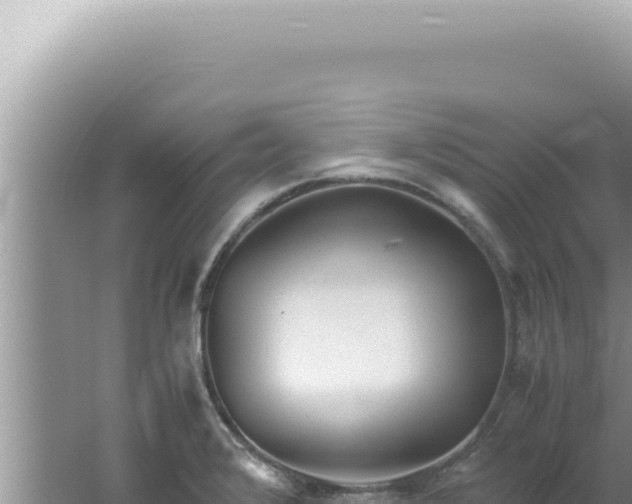 X0000061721376200512091949