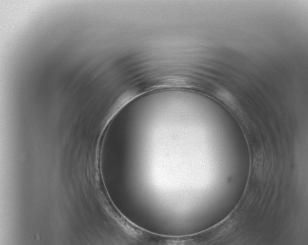 X0000061721378200512091949