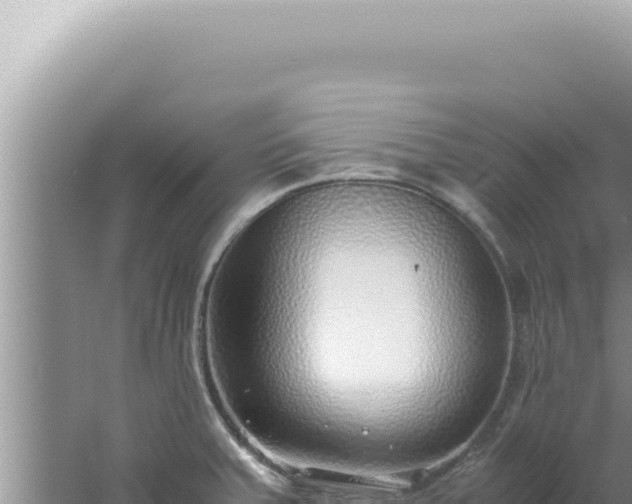 X0000061721379200512091949