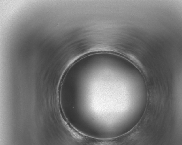 X0000061721380200512091949