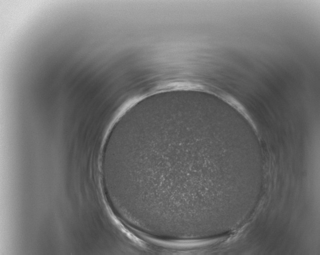 X0000061721381200512091949