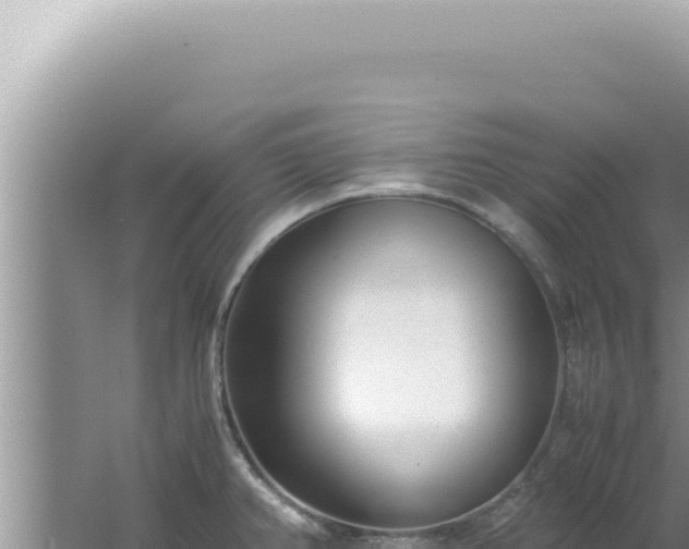 X0000061721382200512091949