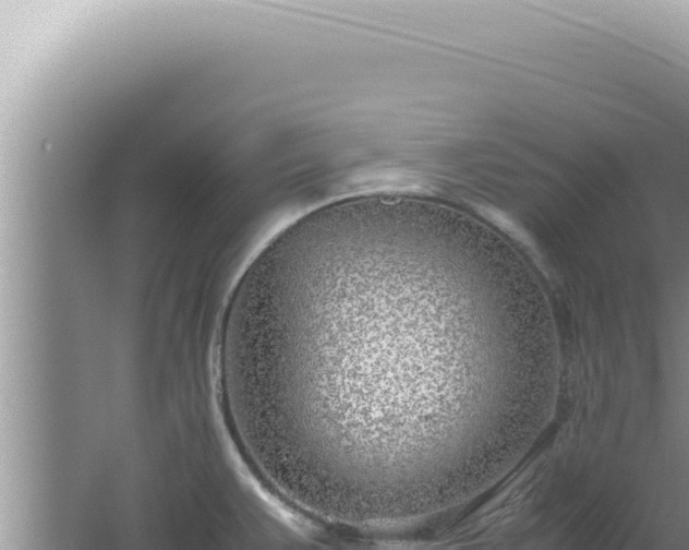 X0000061721383200512091949