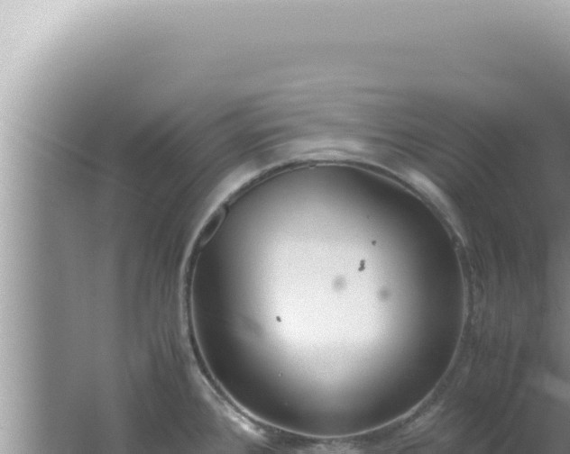 X0000061721384200512091949