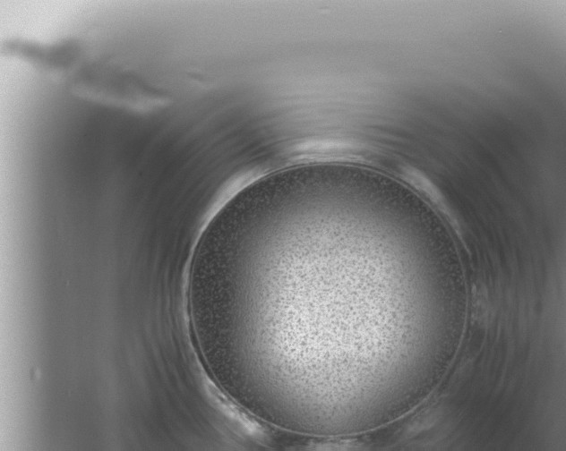 X0000061721386200512091949