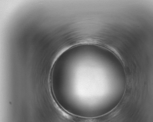 X0000061721387200512091949