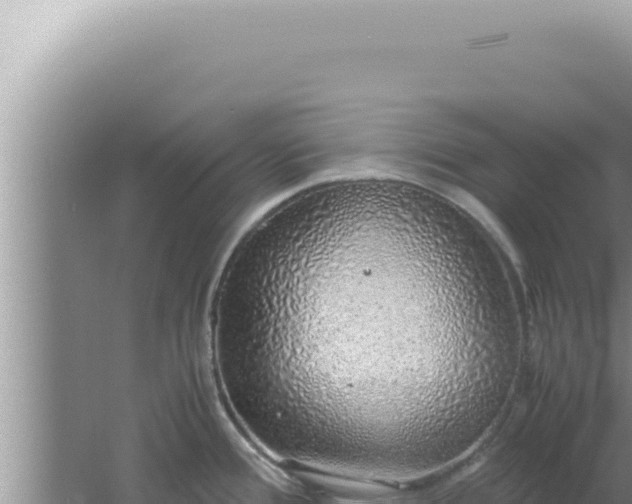 X0000061721388200512091949