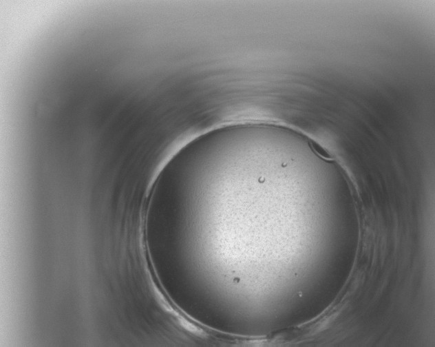 X0000061721390200512091949