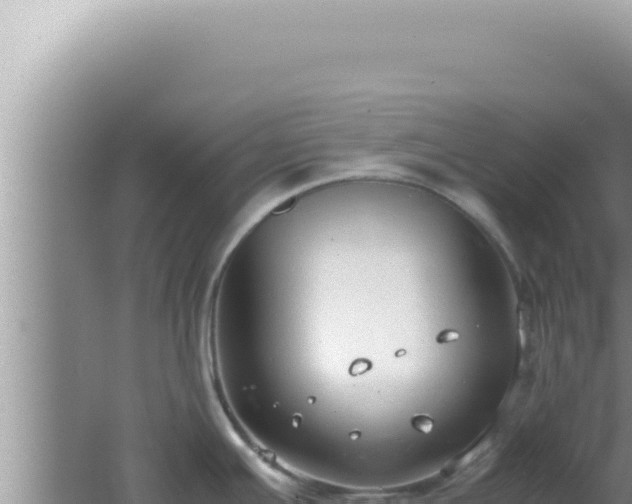 X0000061721391200512091949