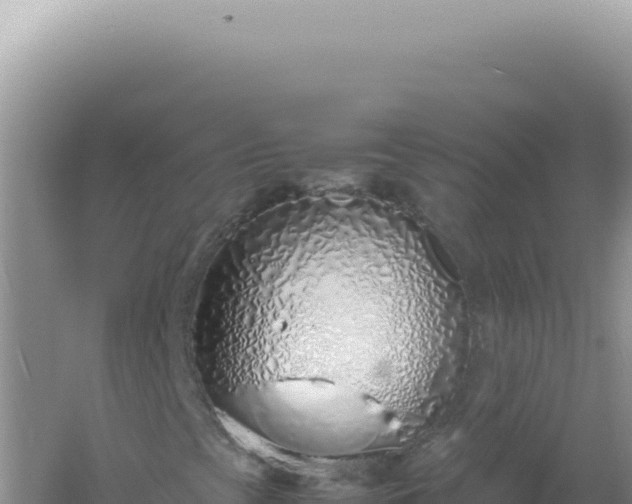 X0000061721393200512091948