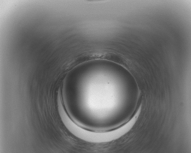 X0000061721394200512091948