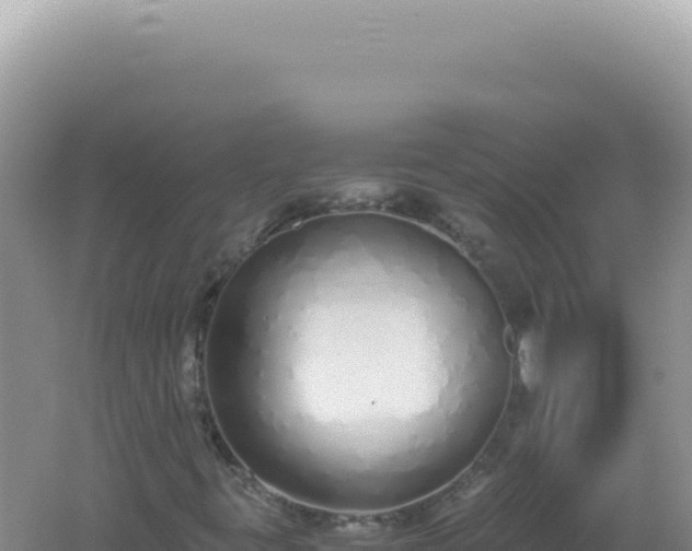 X0000061721395200512091948