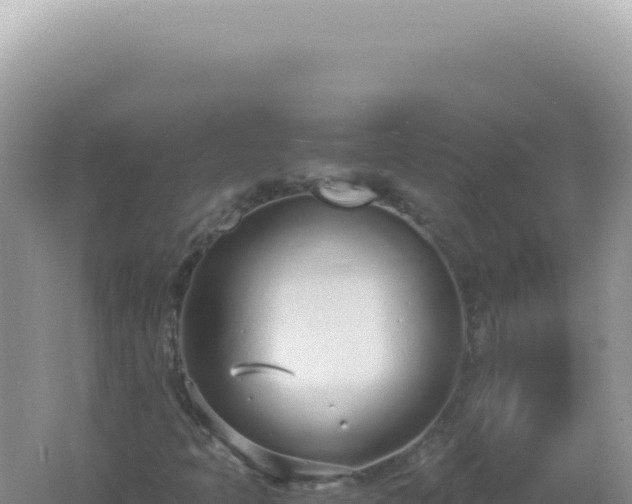 X0000061721397200512091948