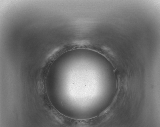 X0000061721398200512091948