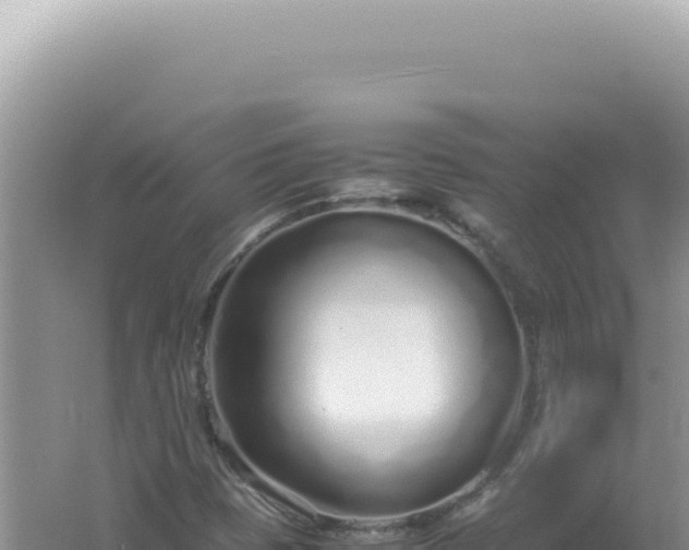 X0000061721401200512091948