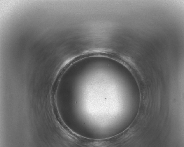 X0000061721404200512091948