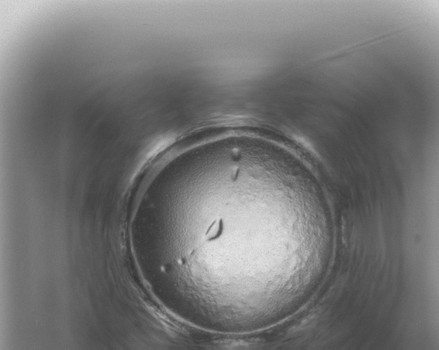 X0000061721405200512091948