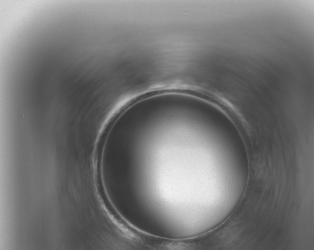 X0000061721416200512091948