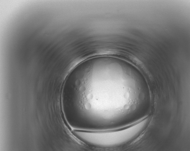 X0000061721417200512091948