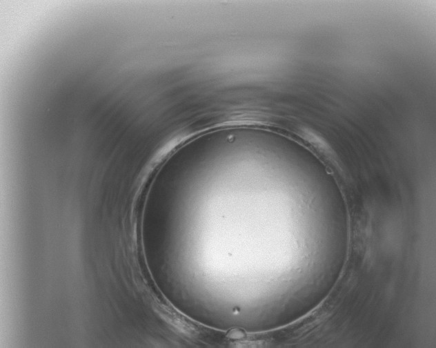 X0000061721419200512091948