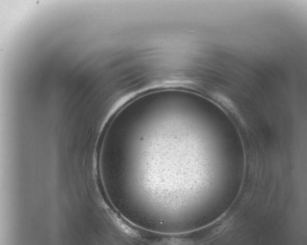 X0000061721420200512091948