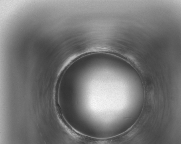 X0000061721422200512091948