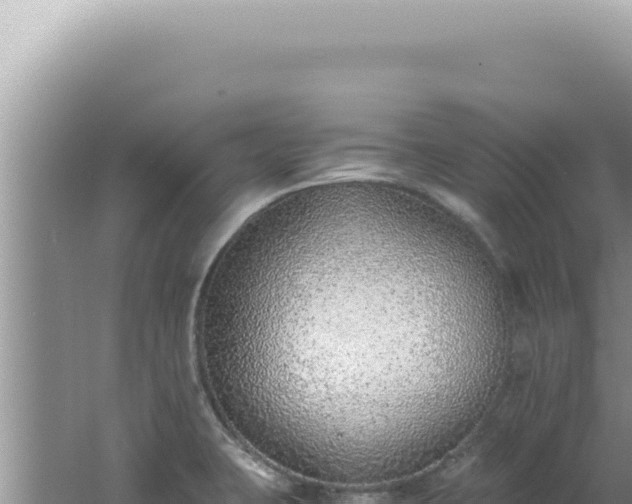 X0000061721423200512091949