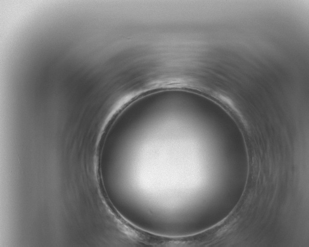 X0000061721424200512091949