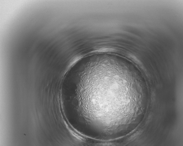 X0000061721425200512091949