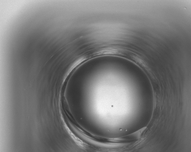 X0000061721426200512091949