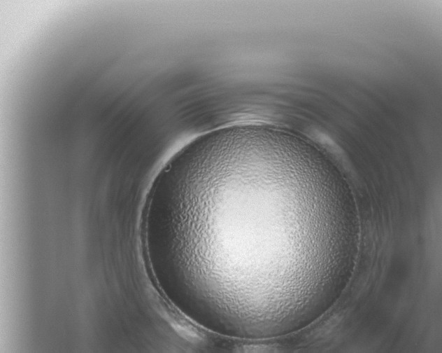 X0000061721427200512091949