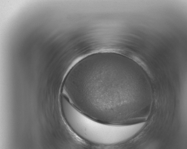 X0000061721428200512091949