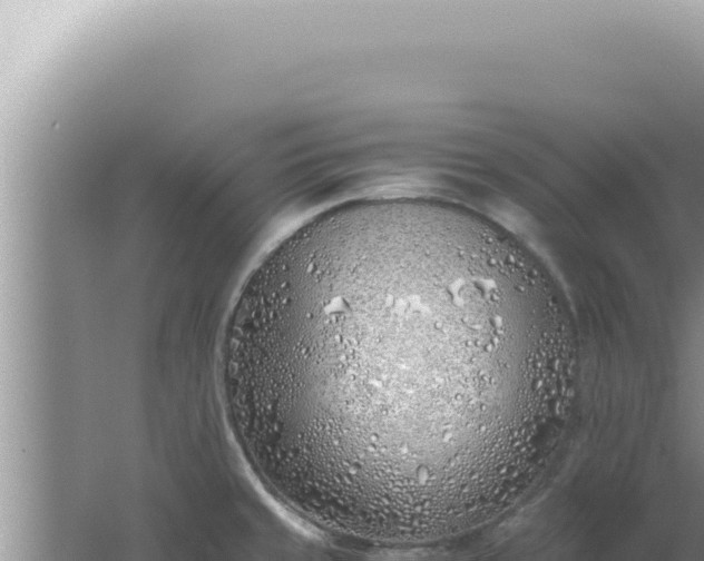 X0000061721429200512091949